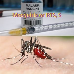 WHO has approved World’s First Malaria Vaccine, Mosquirix or RTS, S